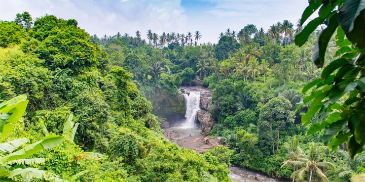 Waarom investeren in vastgoed op Bali?